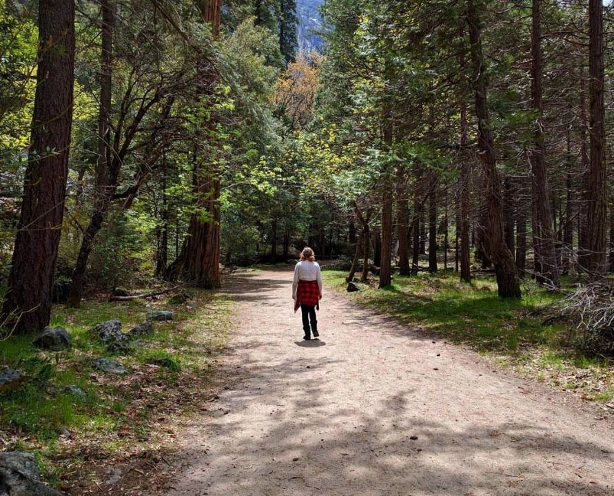 Photo of Yosemite Wonderland by Alyssa Marie Jones