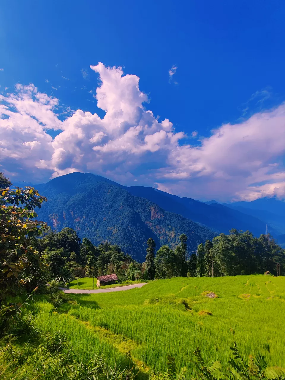 Photo of Tintek, Sikkim, India by Shreya