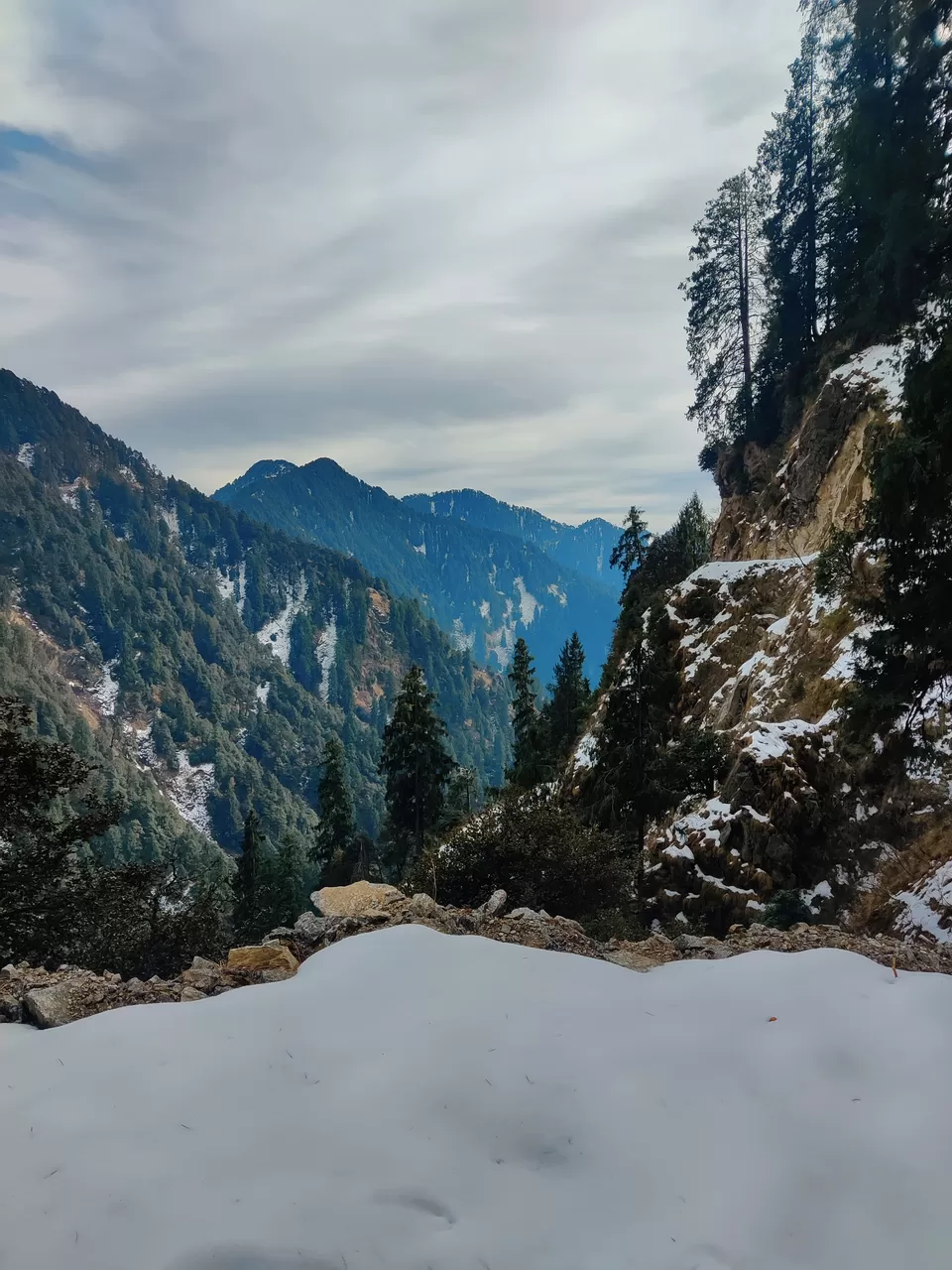 Photo of Rajgundha, Himachal Pradesh (India), Kangra, Himachal Pradesh, India by Shreya