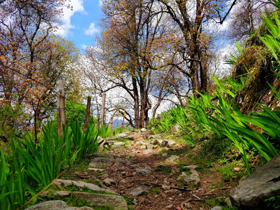 Photo of Shangarh, Himachal Pradesh, India by Shreya