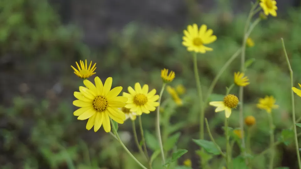 Photo of Lonavala, Maharashtra, India by Mrityunjoy Noopoor Batcha
