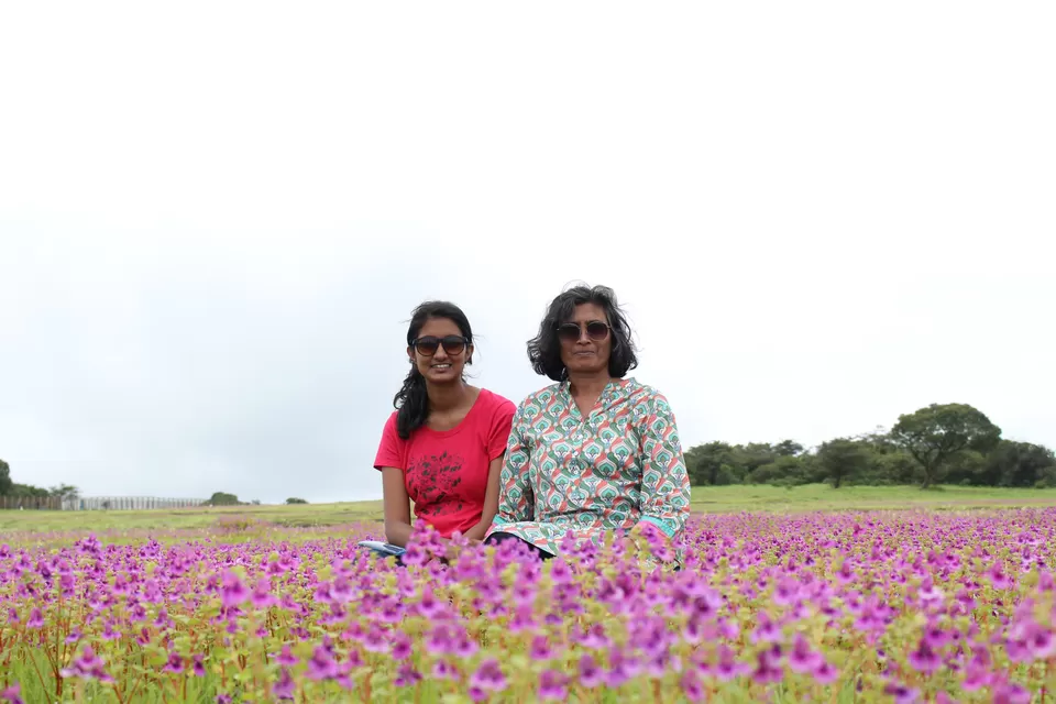 Photo of Kaas Plateau of Flowers, Satara, Maharashtra, India by Rachel Chari