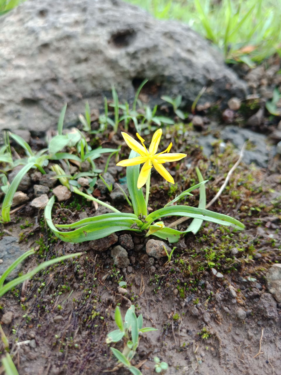 Photo of TREK TO VISAPUR FORT and LOHAGAD FORT LONAVALA CHAPTER COMPLETE 1/1 by Akshay Kokare