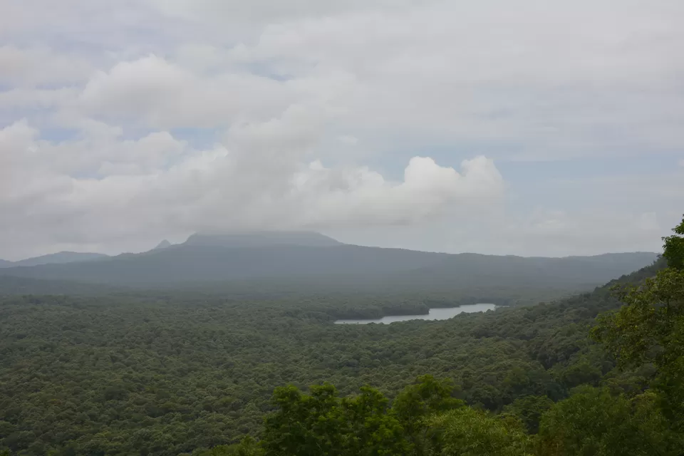 Photo of Parambikulam Tiger Reserve, Thunakadavu, Pollachi, Chittu, Kerala 678661, India by lionie francica V