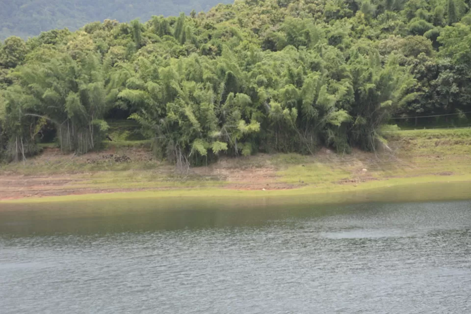 Photo of Parambikulam Tiger Reserve, Muthalamada South, Kerala, India by lionie francica V