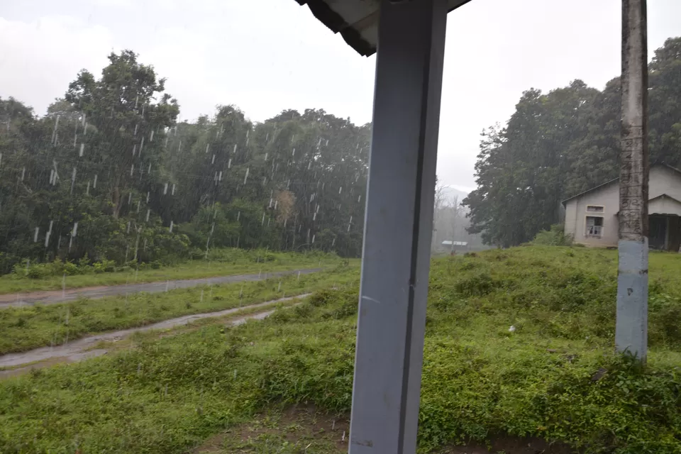 Photo of Top Slip (Pollachi), Coimbatore, Tamil Nadu 642133, India by lionie francica V