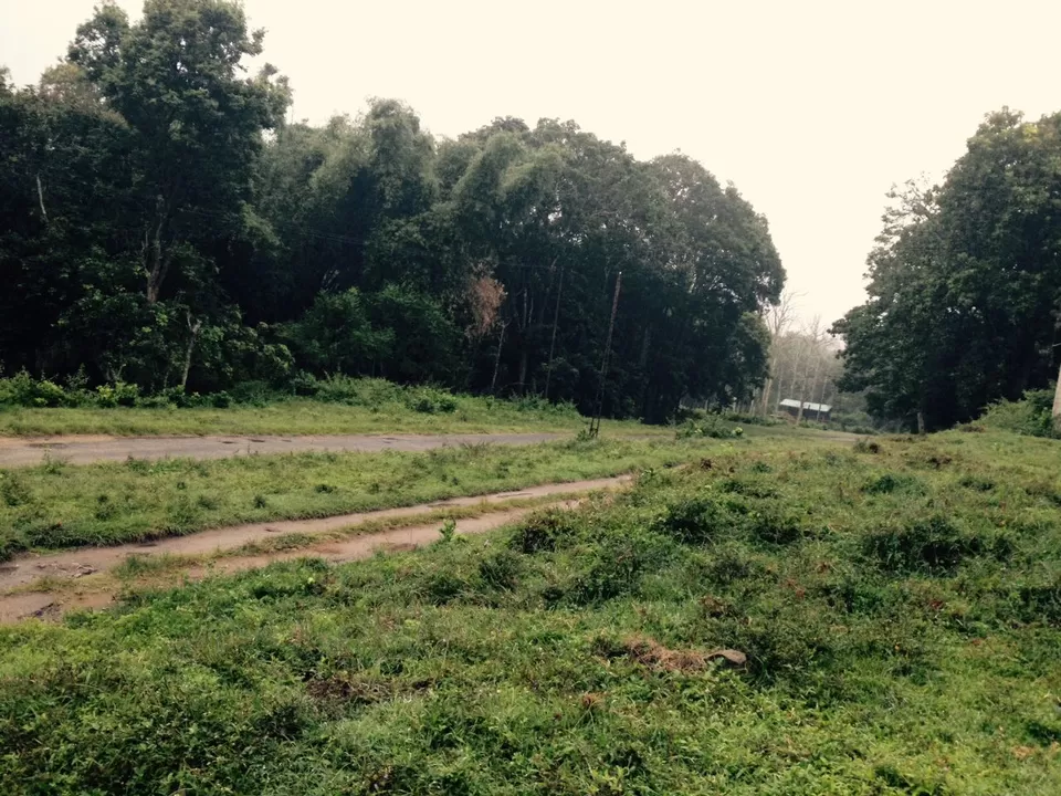 Photo of Top Slip (Pollachi), Coimbatore, Tamil Nadu 642133, India by lionie francica V