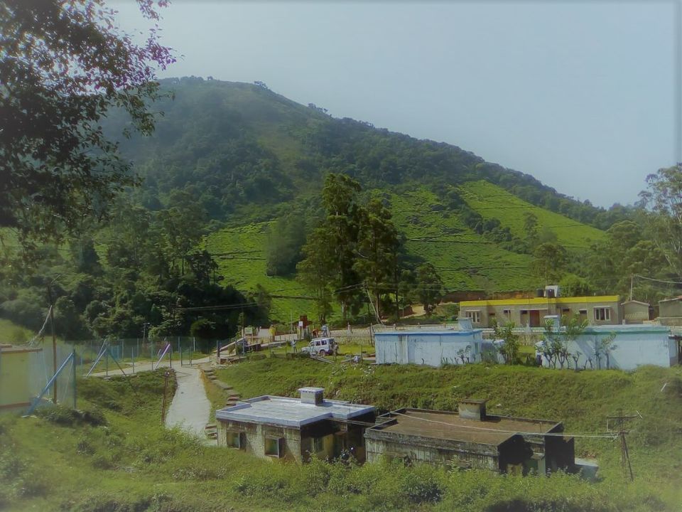 Photo of Traverse through the rugged Roads of Megamalai… 5/8 by lionie francica V