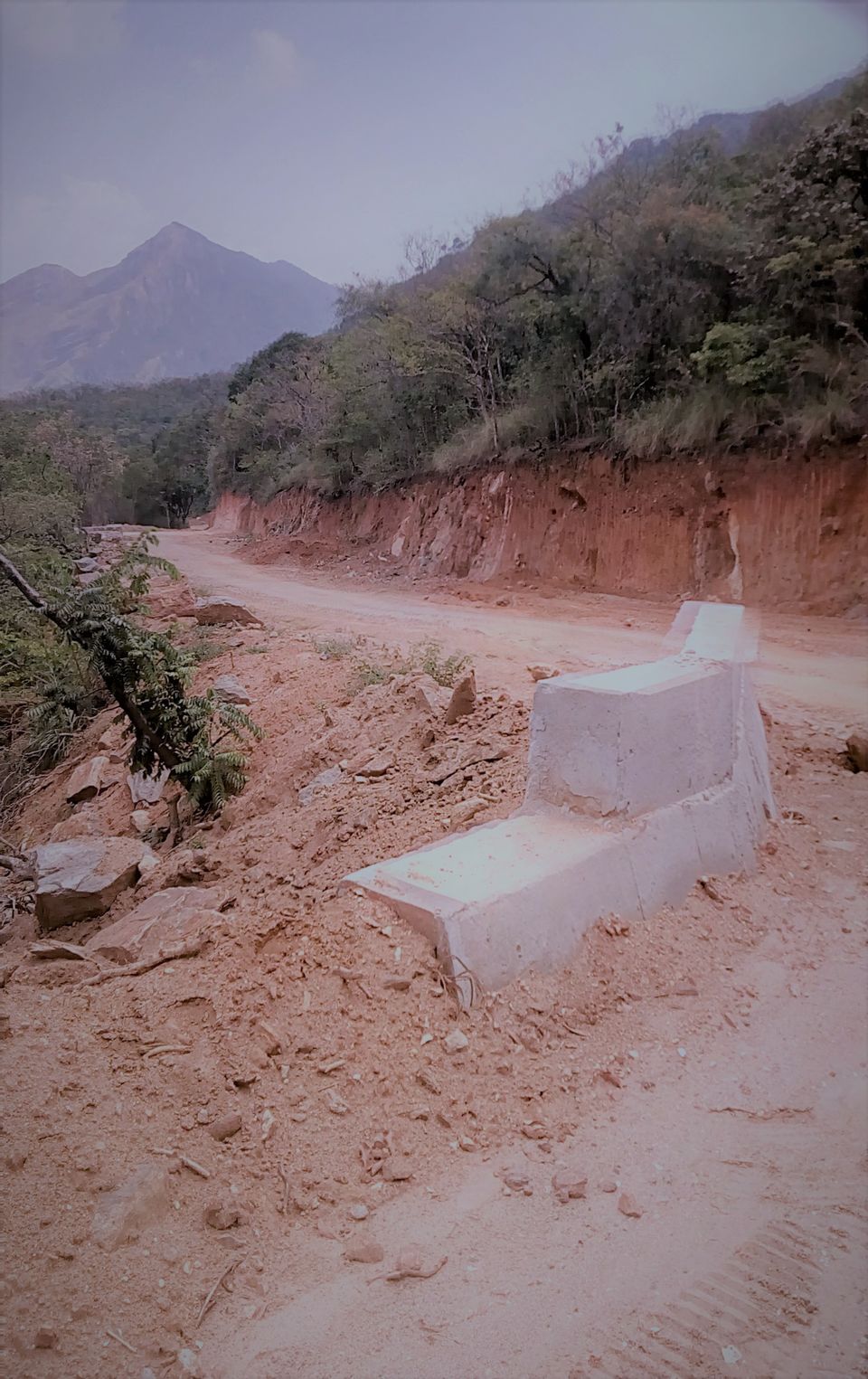 Photo of Traverse through the rugged Roads of Megamalai… 4/8 by lionie francica V