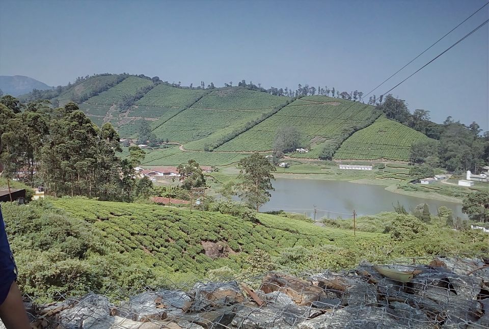 Photo of Traverse through the rugged Roads of Megamalai… 3/8 by lionie francica V