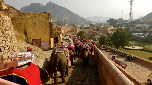 Photo of Amber Fort, Amer, Jaipur, Rajasthan, India by Georgie Crane