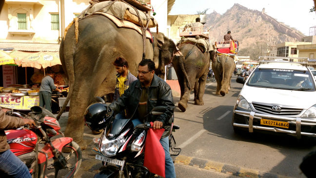 Photo of Chronicles of a Globetrotter from Delhi by Georgie Crane