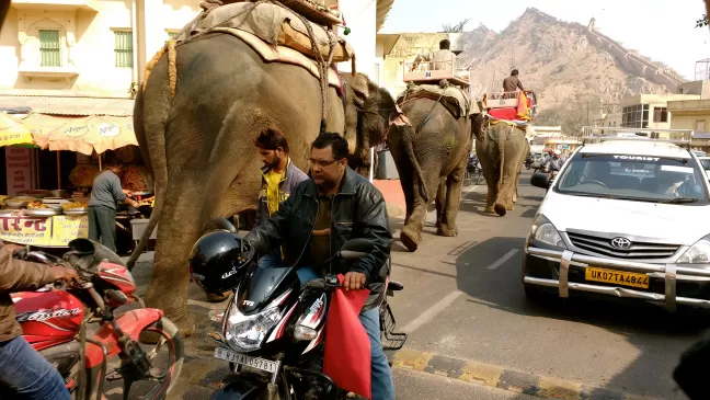 Photo of Chronicles of a Globetrotter from Delhi by Georgie Crane