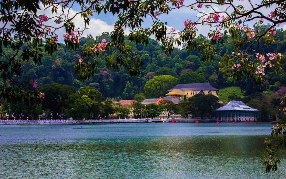 Photo of 15 Compelling Reasons For You to Choose Sri Lanka Over Any Other Location this Year! 12/16 by Tanushree Patwa