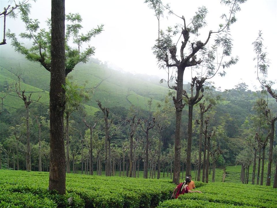 Photo of Top Rare & Affordable Heritage Home Stays across India for all the Offbeat Travellers! 9/13 by Tanushree Patwa
