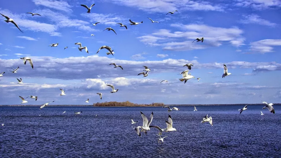 Photo of Chilika Lake, Odisha, India by Tanushree Patwa