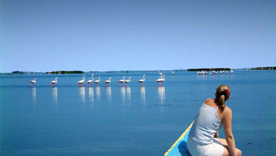 Photo of Chilika Lake, Odisha, India by Tanushree Patwa