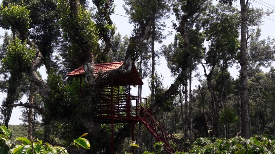 Photo of Abbydhama Estate Homestay, Hebbettageri, Karnataka, India by Tanushree Patwa