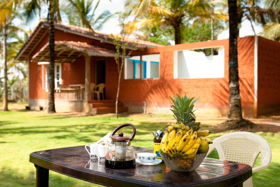 Photo of Eco Habitat, Kushalnagar, Karnataka, India by Tanushree Patwa