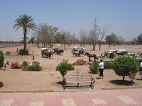 Photo of 4 Days in Marrakech, Morocco by liferidingshotgun