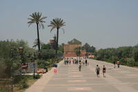Photo of 4 Days in Marrakech, Morocco by liferidingshotgun