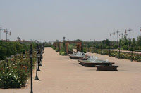 Photo of 4 Days in Marrakech, Morocco by liferidingshotgun