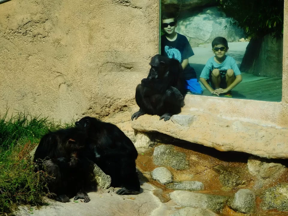 Photo of Albuquerque Zoo, 10th Street Southwest, Albuquerque, NM, United States by liferidingshotgun