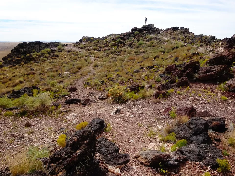 Photo of Things To Do in Albuquerque, New Mexico by liferidingshotgun