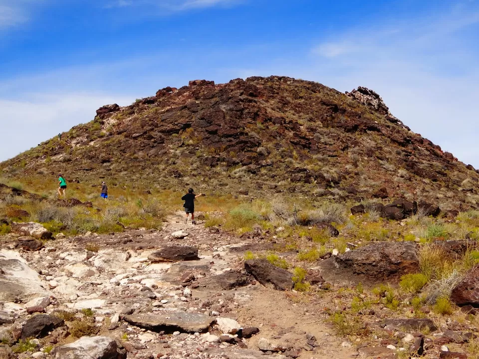 Photo of Things To Do in Albuquerque, New Mexico by liferidingshotgun
