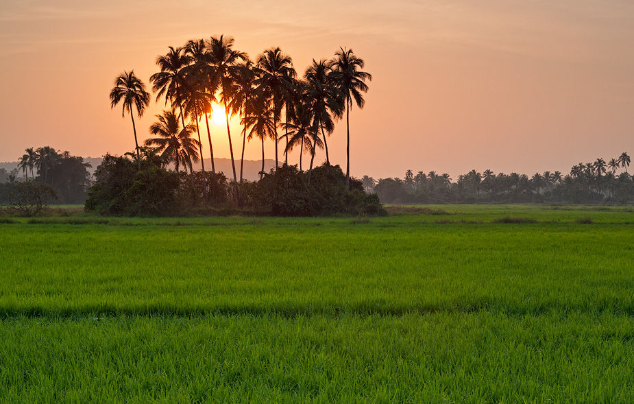Photo of It’s Not All about Beaches; There’s More to Goa, the party Capital of India 1/2 by Simha Raju Kristamgari