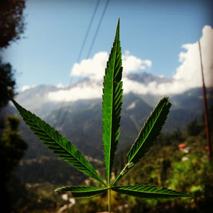 Photo of A weekend off with mountains ! by pragati