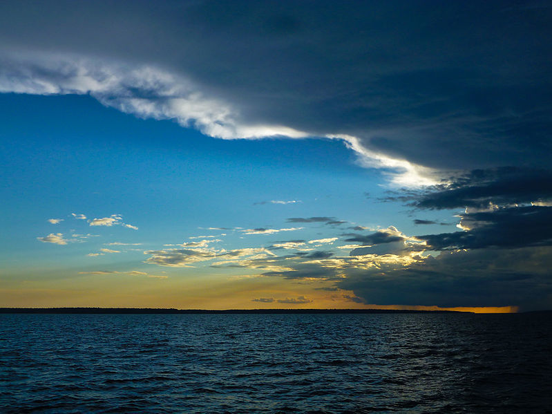 Photo of An Oasis in Amazon : Manaus 4/6 by Dev Arbikshe