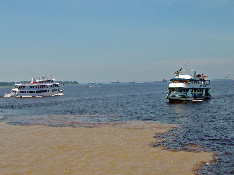 Photo of An Oasis in Amazon : Manaus 5/6 by Dev Arbikshe