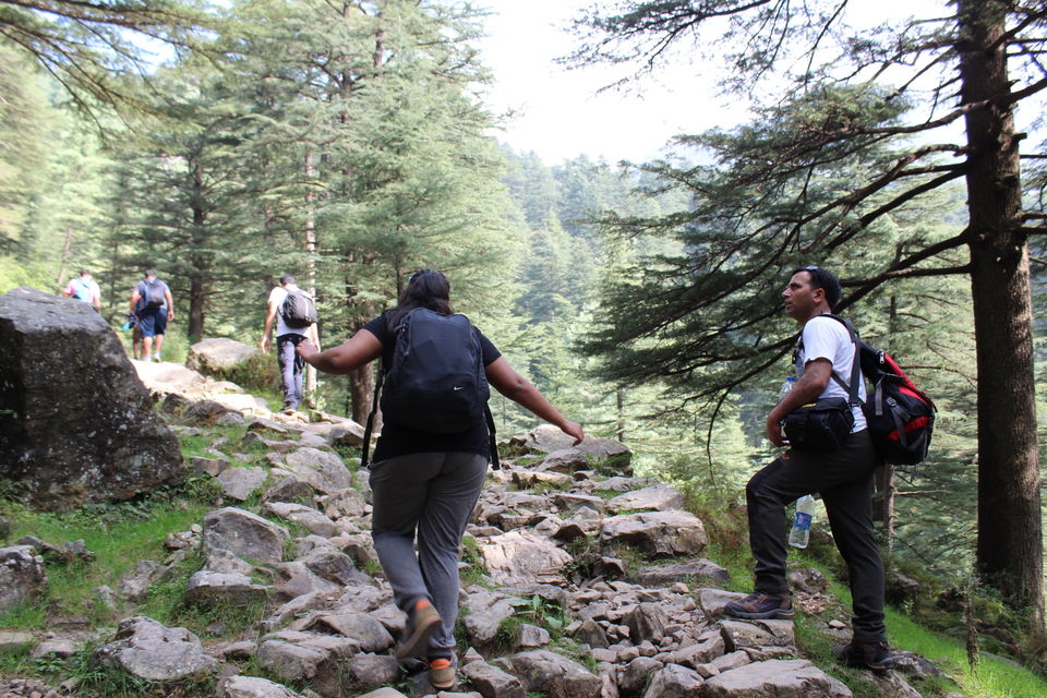 Photo of Why Triund is Great for First Time Trekkers by shruti badyal