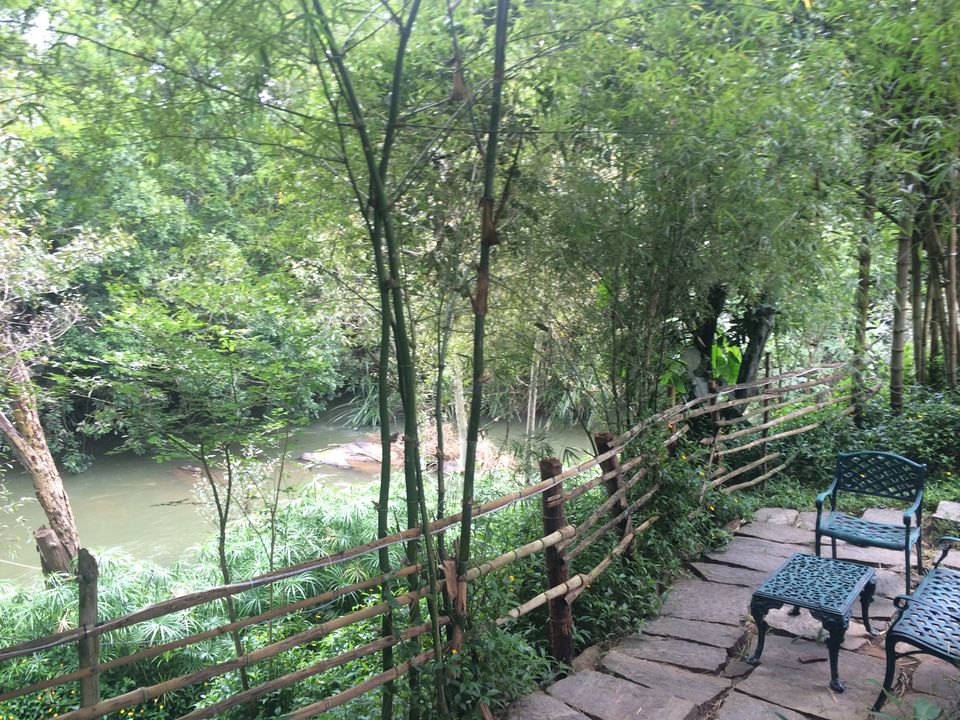 Photo of Amanvana Resort, Coorg, Baichanalli, Karnataka, India by shruti badyal