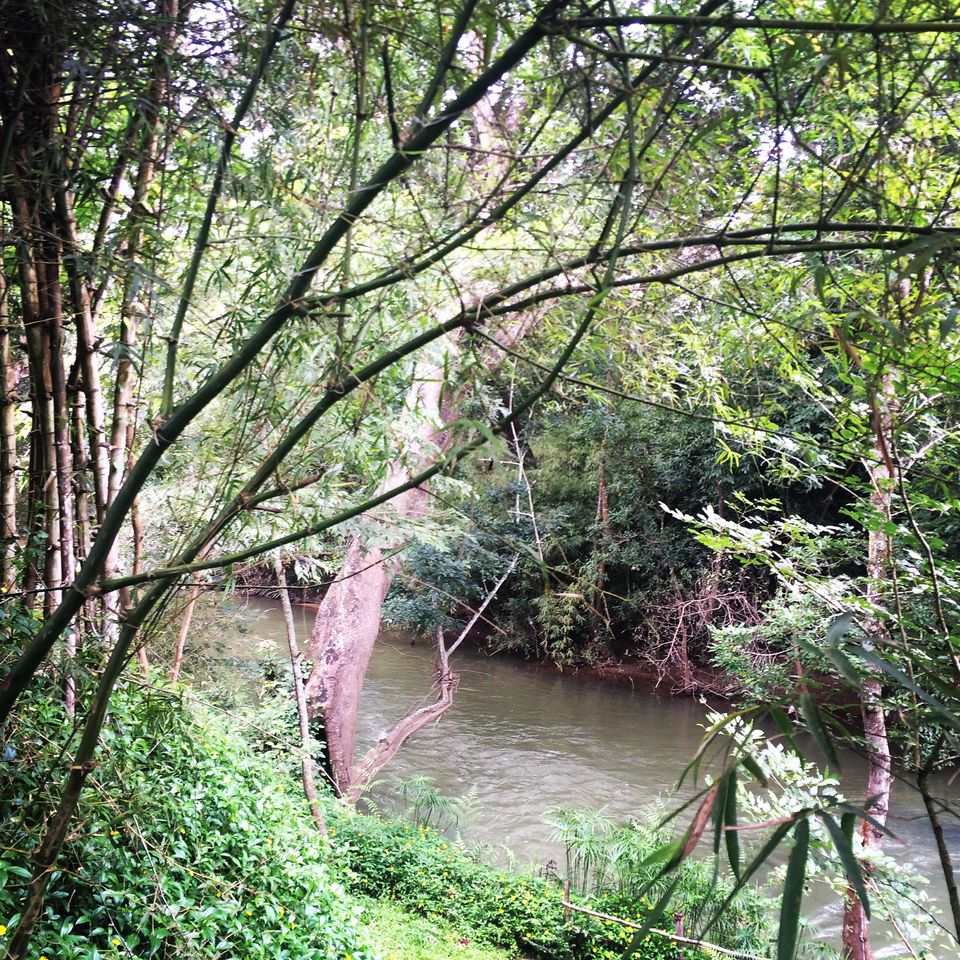 Photo of Amanvana Resort, Coorg, Baichanalli, Karnataka, India by shruti badyal