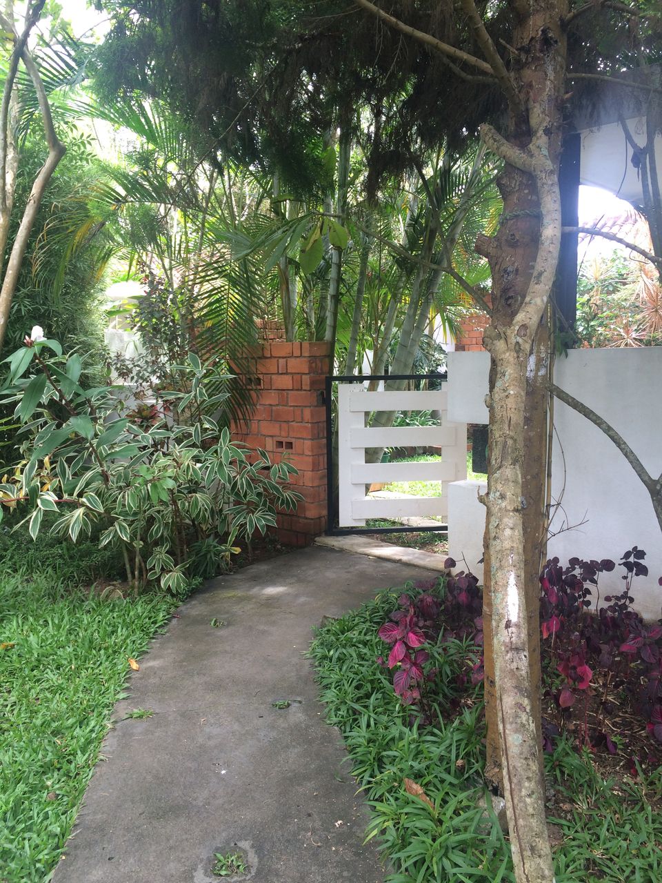 Photo of What They Don't Tell You About Coorg! by shruti badyal