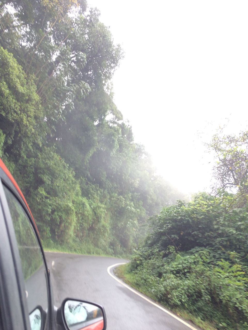Photo of What They Don't Tell You About Coorg! by shruti badyal
