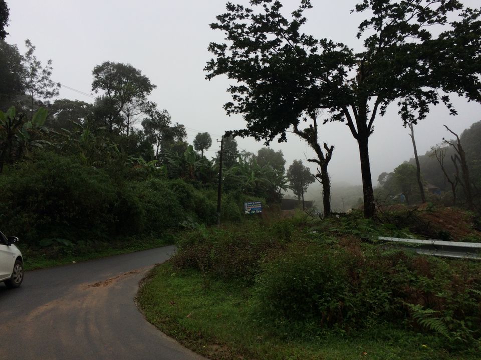 Photo of What They Don't Tell You About Coorg! by shruti badyal