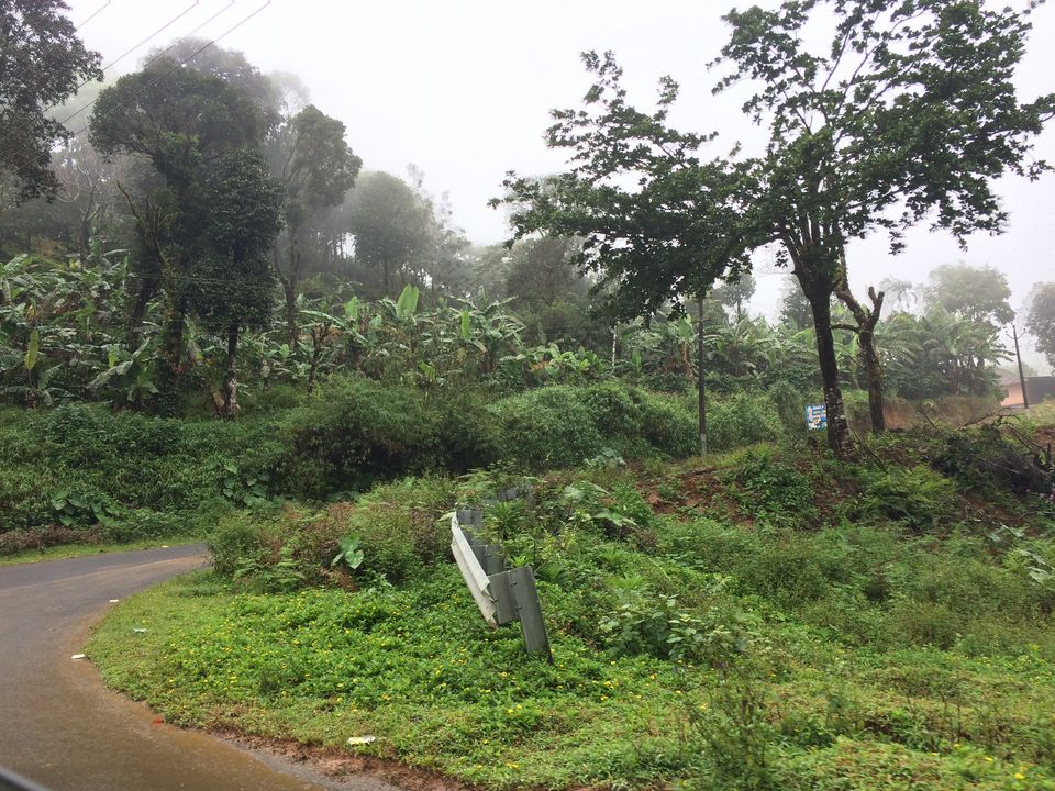 Photo of What They Don't Tell You About Coorg! by shruti badyal