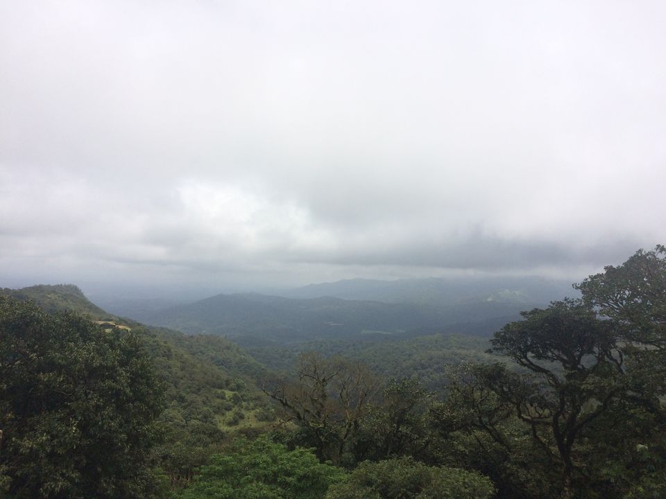Photo of What They Don't Tell You About Coorg! by shruti badyal