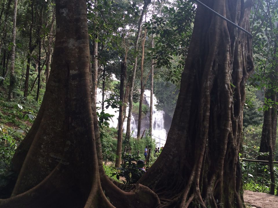 Photo of What They Don't Tell You About Coorg! by shruti badyal