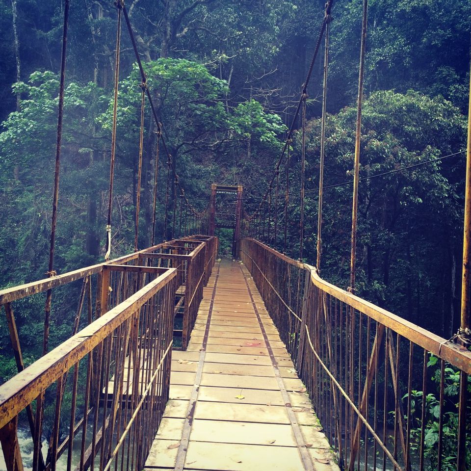 Photo of What They Don't Tell You About Coorg! by shruti badyal