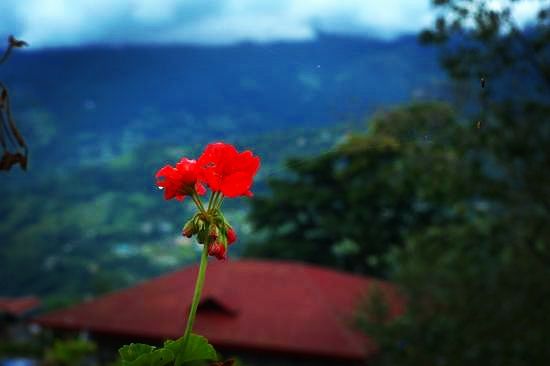 Photo of Rumtek, Sikkim, India by Rajnikant Rakesh