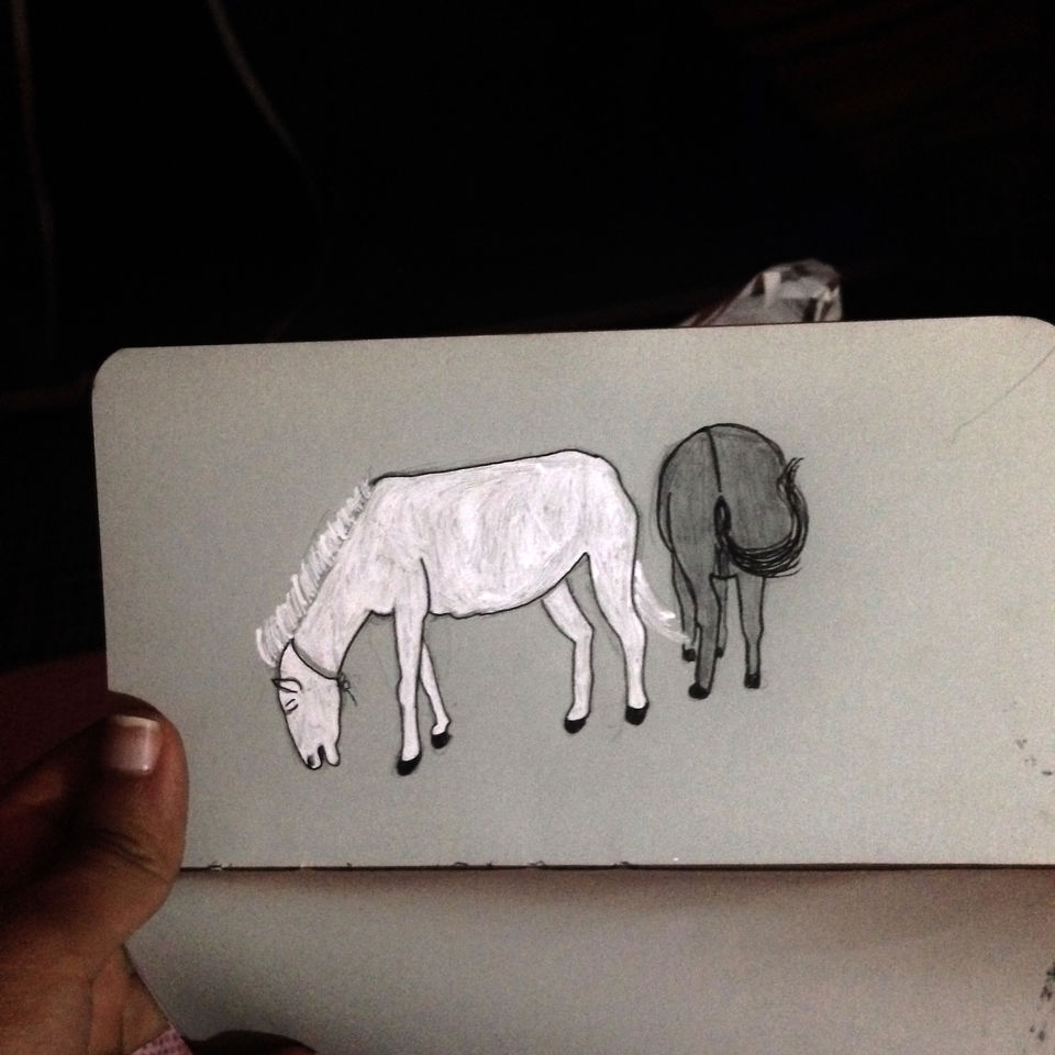 Photo of How I escaped monotony of life in the Himalayas with the help of a sketch book by Chithkala Ramesh