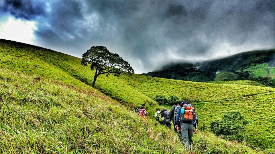 Photo of Falling our way to the horse's mouth by Sanchit Gupta