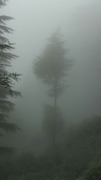 Photo of You make your own way to Serenity, and so did i! by priya sharma