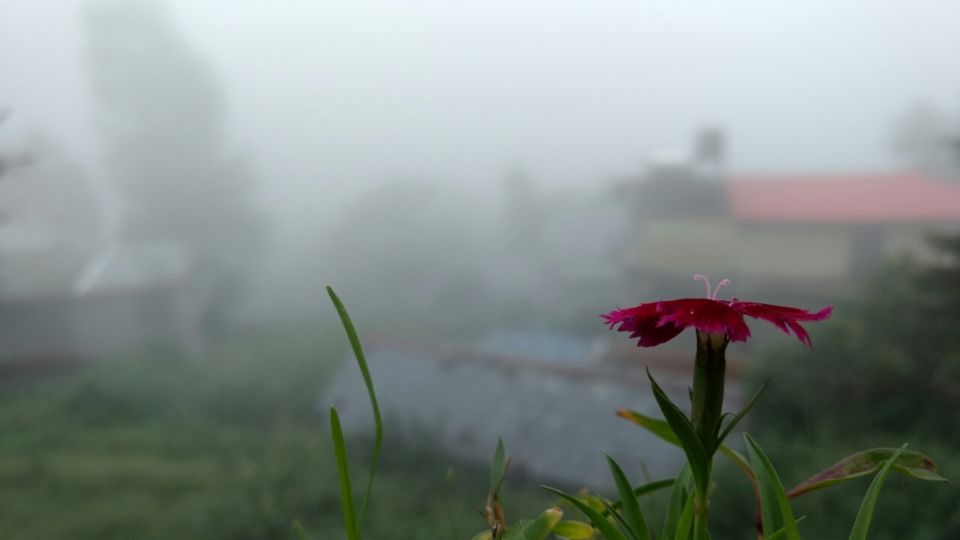 Photo of You make your own way to Serenity, and so did i! by priya sharma