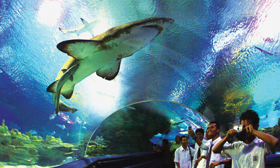Photo of Top attractions for kids in Kuala Lumpur 1/1 by Dinesh Kumar