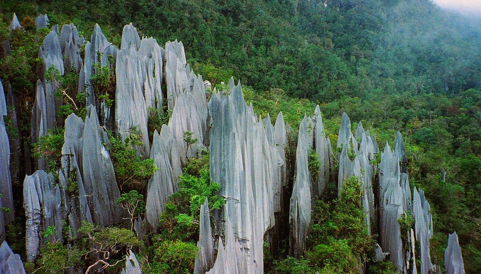 Photo of 3 magical sights in Malaysia you just cannot miss! 2/2 by Dinesh Kumar